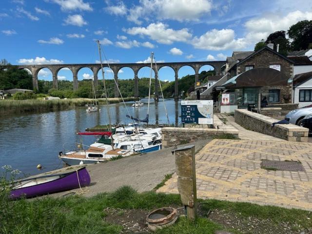 Frankie'S Holiday Lodge Gunnislake エクステリア 写真