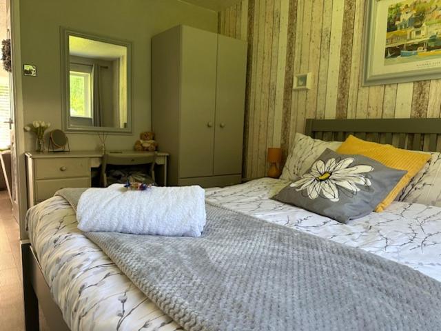 Frankie'S Holiday Lodge Gunnislake エクステリア 写真